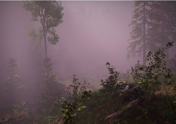 Raubritter EN/DE/PL Global Steam Digital Key