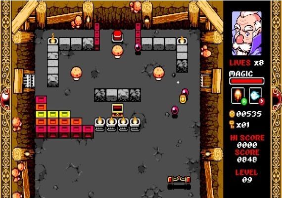 Wizorb EN/FR Global Steam Digital Key