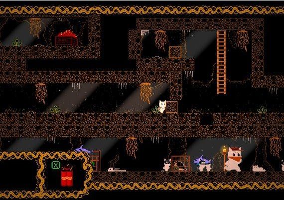 The Explorer Of Night EN Argentina Xbox One/Series Digital Key