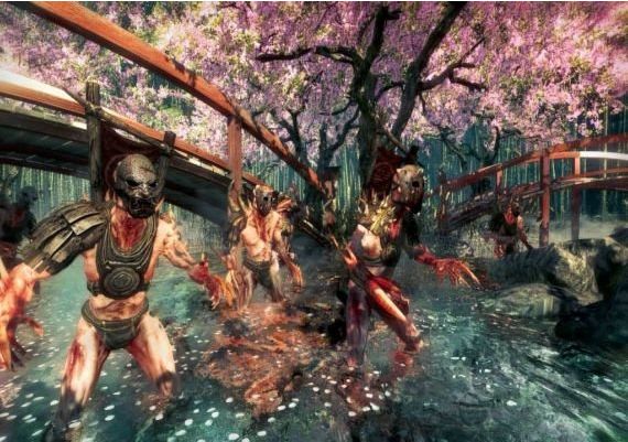 Shadow Warrior Special Edition EN Global Steam Digital Key