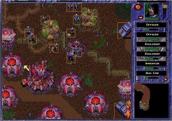 SSI Classics Collection EN Global Steam Digital Key