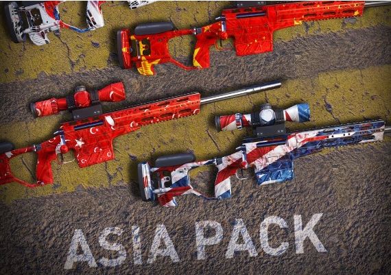 Sniper Ghost Warrior Contracts 2 - ASIA Skin Pack DLC EN Global Steam Digital Key