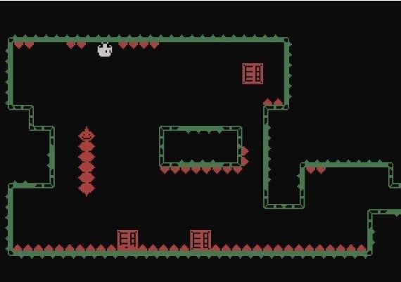 Rabio EN Argentina Xbox Windows Digital Key