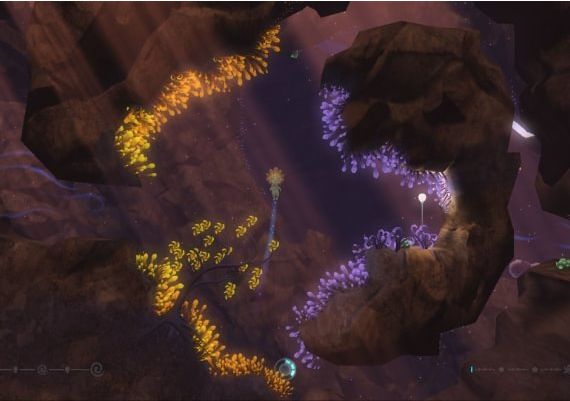 The UnderGarden EN/DE/FR Global Steam Digital Key