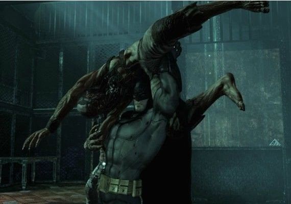 Batman: Arkham Asylum GOTY Edition EN EU Steam Digital Key