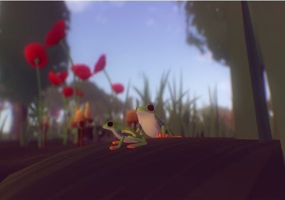 Everything EN Global Steam Digital Key