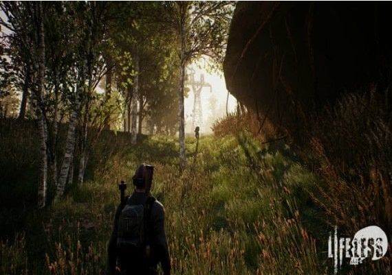 Lifeless EN/DE/FR/IT Global Steam Digital Key