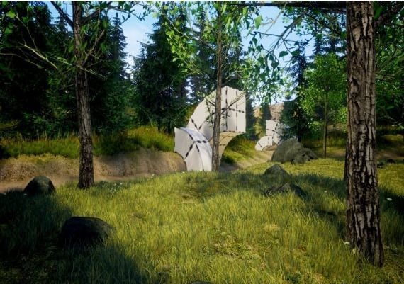 Reveal EN Global Steam Digital Key