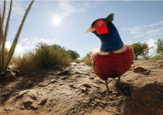 theHunter: Call of the Wild - Starter Bundle EN/DE/FR/PT/RU Global Steam Digital Key