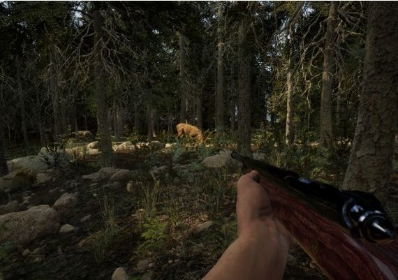 Evergreen: Mountain Life Simulator EN/DE/FR/IT/JA/RU/ZH/ES Global Steam Digital Key