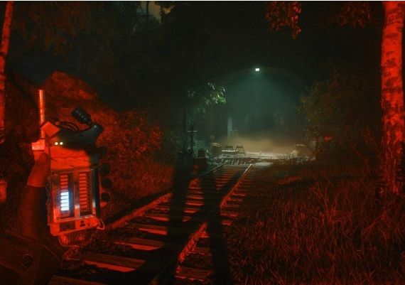 A Quiet Place: The Road Ahead - Pre-Order Bonus PRE-ORDER DLC EN EU PS5 Digital Key