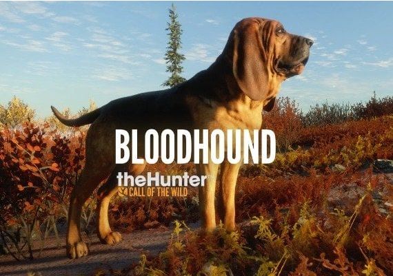 theHunter: Call of the Wild - Bloodhound DLC EN EU Xbox One/Series Digital Key