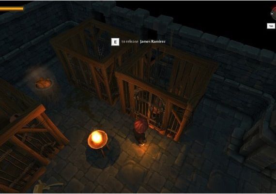 TinyKeep EN Global Steam Digital Key