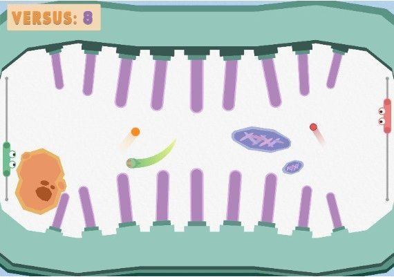 Paddles EN Argentina Xbox One/Series Digital Key