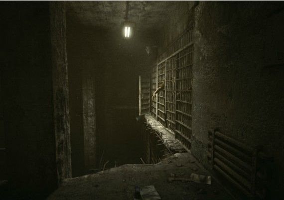 Outlast: Whistleblower DLC Global Steam Digital Key