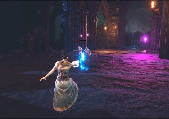 TimeMelters EN/FR Global Steam Digital Key