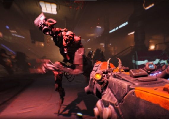 Ripout EN Global Steam Digital Key