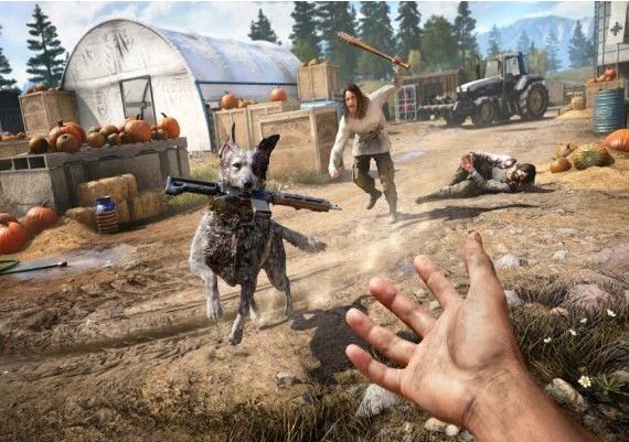 Far Cry 5 EN/DE/FR/ES North America Ubisoft Connect Digital Key