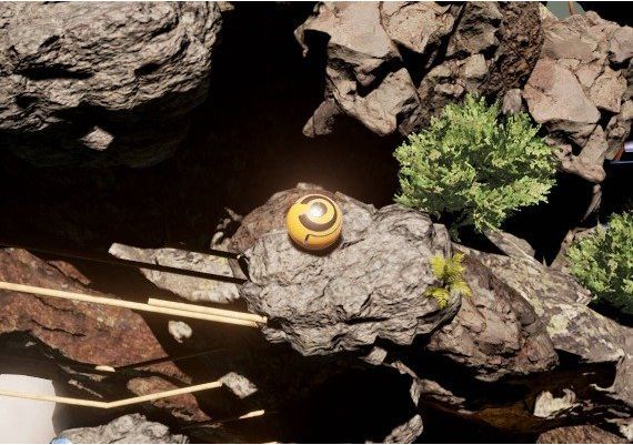 Winexy EN/KO/RU Global Steam Digital Key