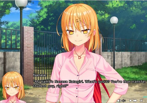 Nukitashi EN/JA/ZH/ZH Global Steam Digital Key