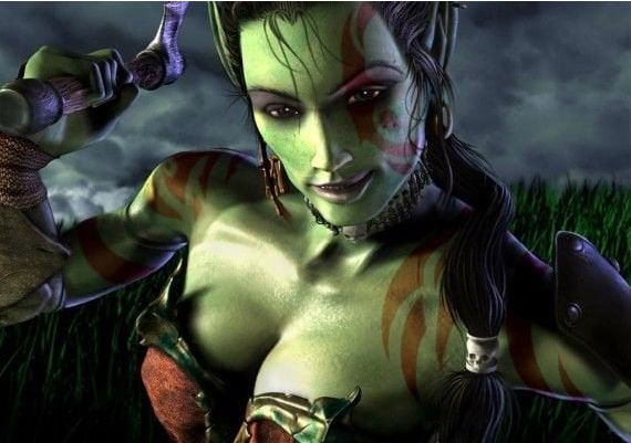 Warcraft 3: Reign of Chaos EN Global Battle.net Digital Key