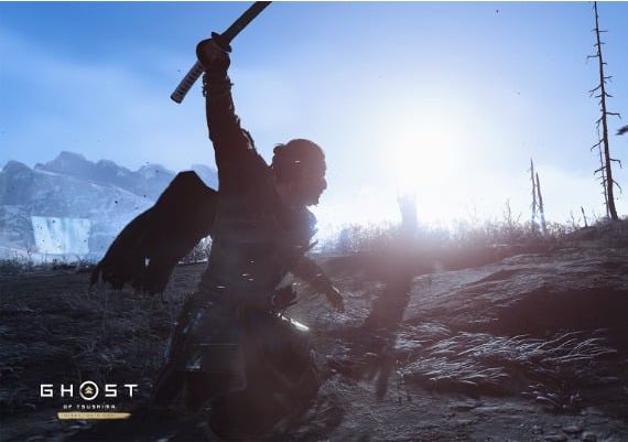 Ghost of Tsushima: Director`s Cut ROW Steam Digital Key