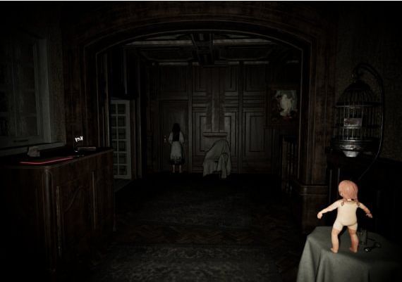 Pacify Global Steam Digital Key