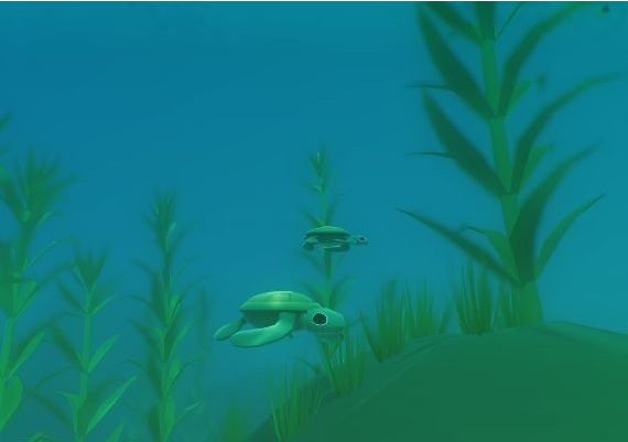 Everything EN EU Steam Digital Key