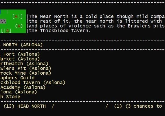 Warsim: The Realm of Aslona EN Global Steam Digital Key
