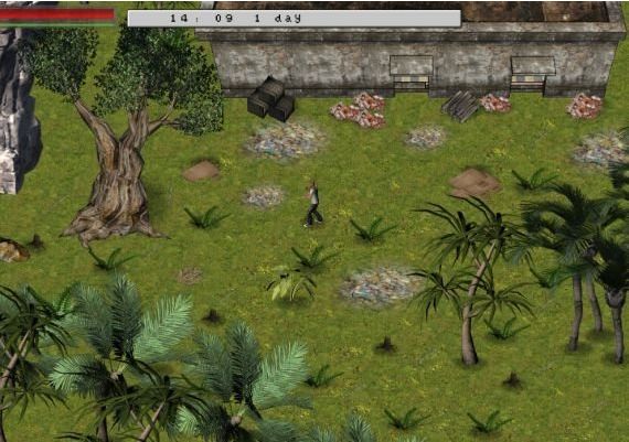 Island 404 EN/RU Global Steam Digital Key