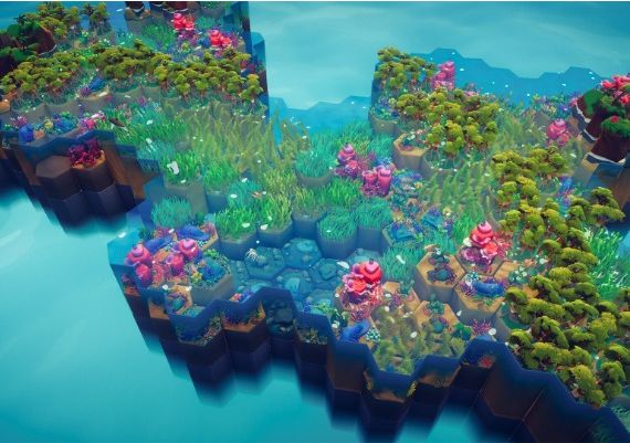 Preserve EN Global Steam Digital Key