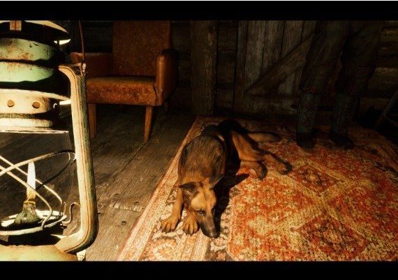 Village: The Siberia EN/RU Global Steam Digital Key