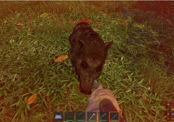 Hardcore Survival EN Global Steam Digital Key