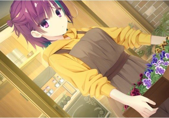 Parquet EN/JA/ZH/ZH Global Steam Digital Key