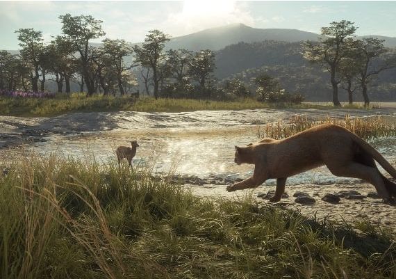 theHunter: Call of the Wild - Parque Fernando DLC EN United Kingdom Xbox One/Series Digital Key