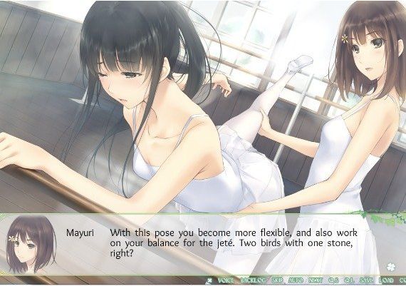 Flowers: Le Volume Sur Printemps EN/JA/ZH Global Steam Digital Key