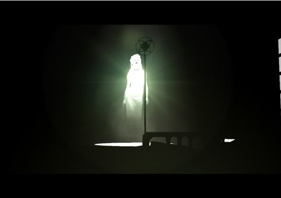 White Night EN/DE/FR/IT/ES EU Steam Digital Key