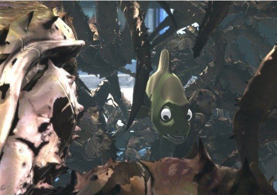 Padak EN Global Steam Digital Key