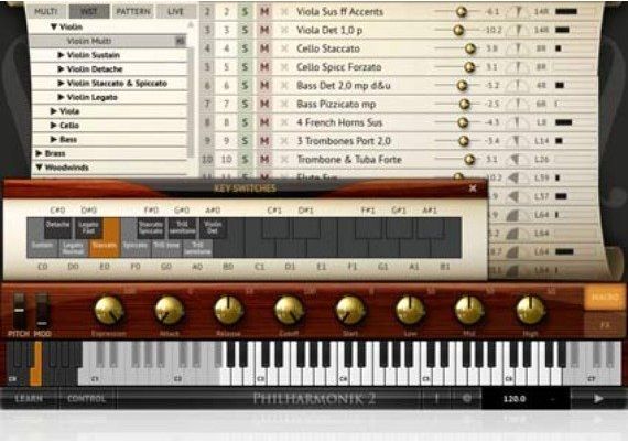 IK Multimedia Miroslav Philharmonik 2 CE EN Global Software License Digital Key