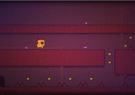 Stigmat EN Global Steam Digital Key