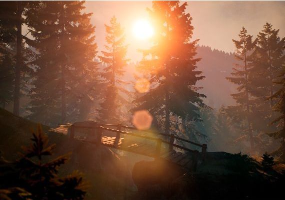 BIGFOOT Global Steam Digital Key