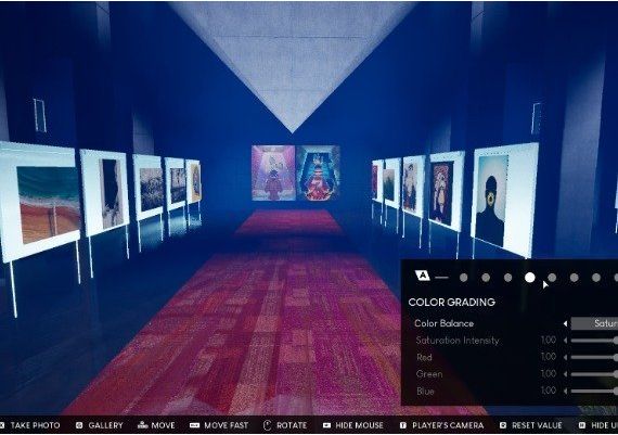 NFT Museum EN Global Steam Digital Key