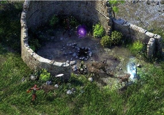 Pillars of Eternity Complete Edition EN/DE/FR/IT Argentina Xbox One/Series Digital Key