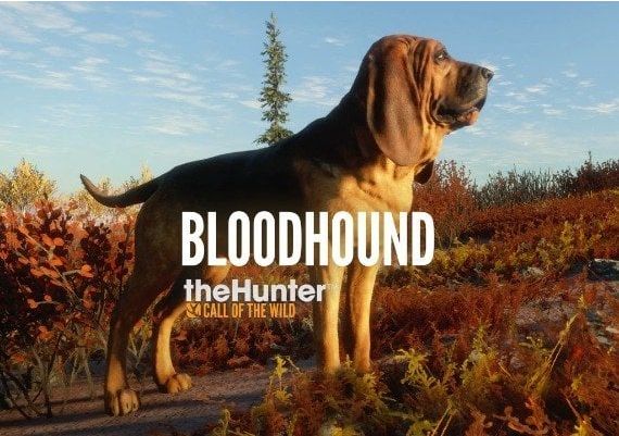 theHunter: Call of the Wild - Bloodhound DLC Global Steam Digital Key