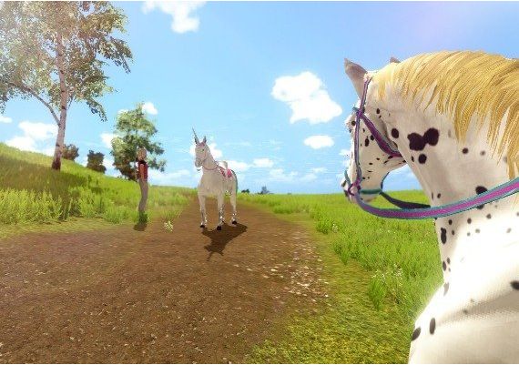 The Unicorn Princess EU Steam Digital Key