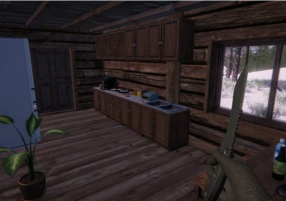 The Endless White EN/DE/FR/IT/ES Global Steam Digital Key