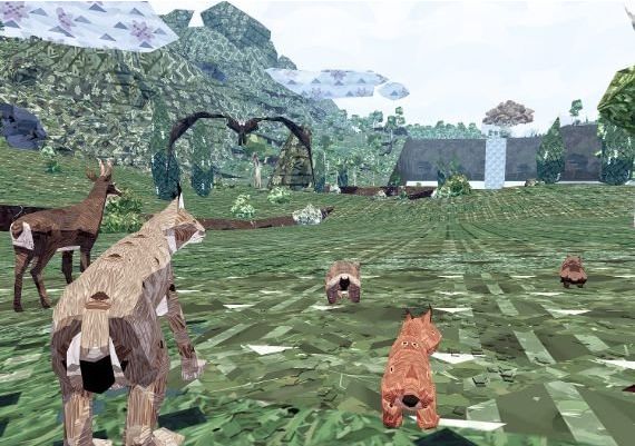 Meadow EN Global Steam Digital Key