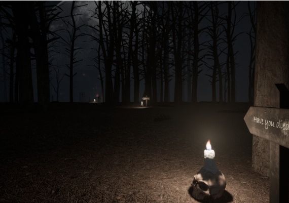 With in the Obscurity EN/JA/ZH/ZH Global Steam Digital Key