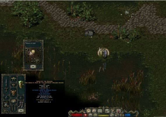 Divine Divinity EN/DE/FR/RU Global GOG Digital Key