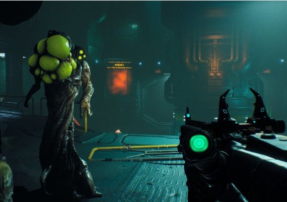 Ripout EN Global Steam Digital Key